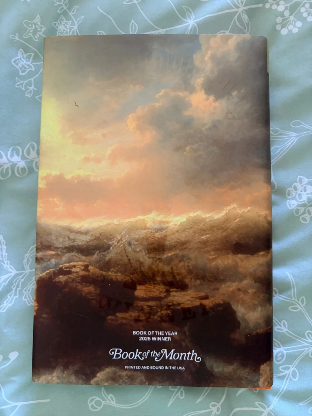 Wild Dark Shore by Charlotte McConaghy